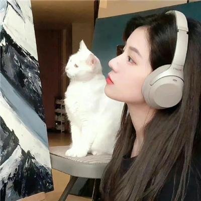 铁拳黑雾